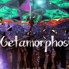 Metamorphosis 21