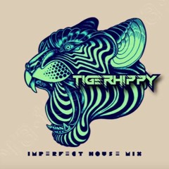 Imperfect House Mix 2024- Tigerhippy