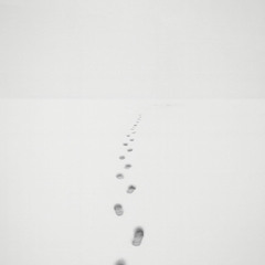 Tribut to Chris Rea_One Fine Day (Cover)