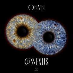 Connexus (Original Mix)