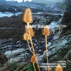 DANNY BUSHES 31.10.23