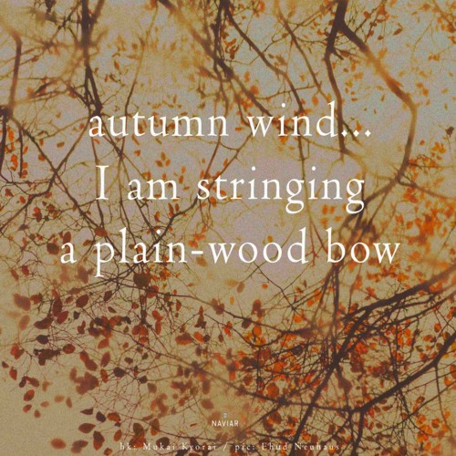 I am stringing a plain-wood bow [naviarhaiku563]