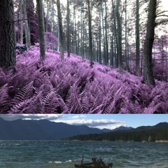 pie man got pms ]pussy munchin syndrome[