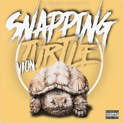 Snapping Turtle