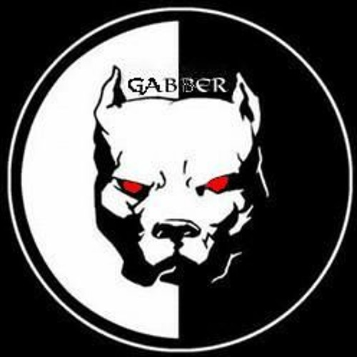 T-shirt Gabber Hardcore - Wizzard Hardcore Assistant - Fruit Of The Loom
