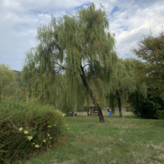 가약_demo