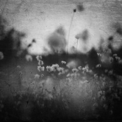 Fading Memory