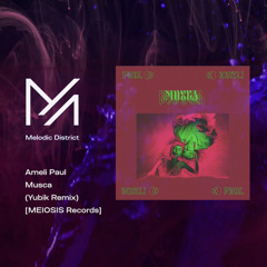 PREMIERE: Ameli Paul - Musca (Yubik Remix) [MEIOSIS Records]