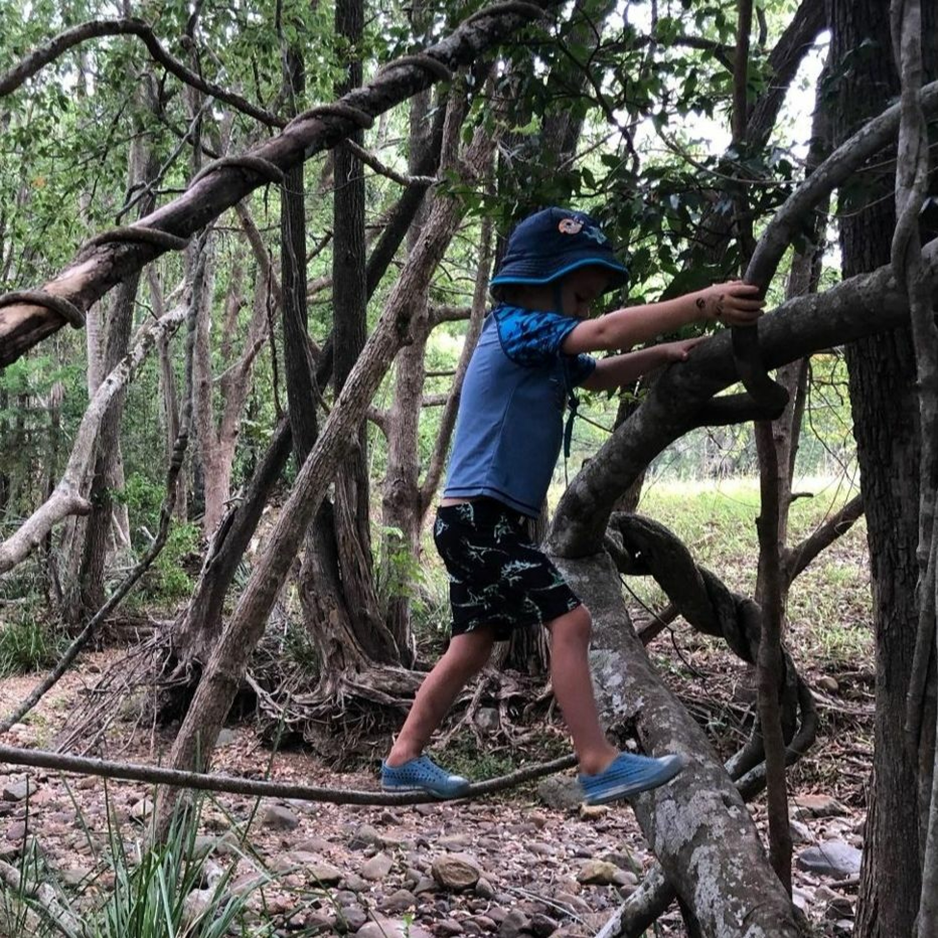 Teaching STEM with natureplay: new research from the Faculty of Education episode artwork