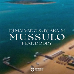Dj Malvado e Dj Aka-m Feat Doddy - Mussulo (FLOWSTIK AFROHOUSE REMIX)  *audio cut*