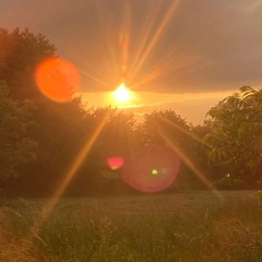 Something In The Orange Mini (Second Verse & Ending).mp3