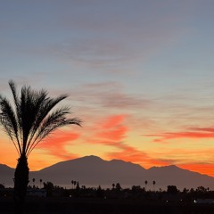 No_Hay_Otra_Oracion. 🌺🌱🌷 No Other Kind Of Prayer 🌺🌱🌹