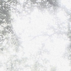 erato
