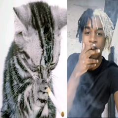 OTRODbE MUZbiKaJ|НОЕ