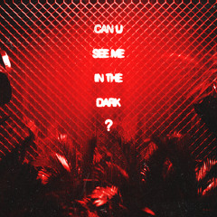 can u see me in the dark?