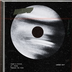 Through the Pain Ft. Pozer (CARSEN Edit)