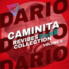 DARIO CAMINITA REVIBES COLLECTION VOLUME 09