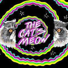 The Cat's Meow (feat. Amir Yaghmai)