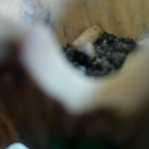 Το επόμενο δικό μου (μσακ00)