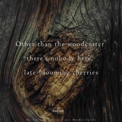 Nobody Here (NaviarHaiku 553)