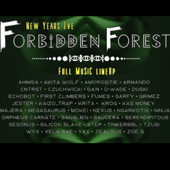 Echobot @ Forbidden Forest Festival South Australia  1 JAN 2025