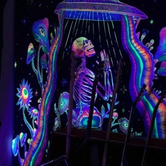 Go Your Own Way ✌️🌞👉