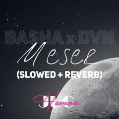 BA$HA x DVN - MESEC
