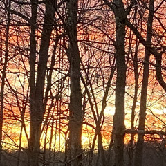 can you feel my heart edit audio