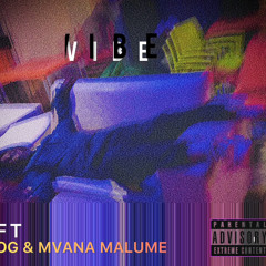 VIBE ft MOG & MVANA MALUME