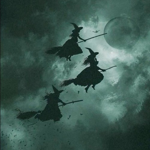 Cedric B. - Hocus Pocus (ShAnkAri touch)