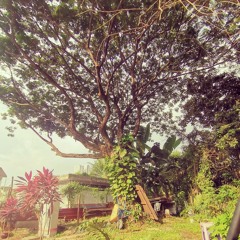 indahkan hari ini dengan syukur.mp3