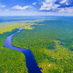 Brazil and the environmental responsibility of the Amazon rainforest