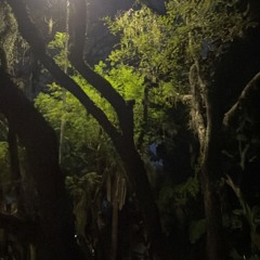 PQ VC CHORA? ft. NONY [prod. ogputti]