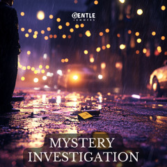 Mystery Investigation