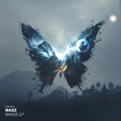 Nasz - Feel this Way