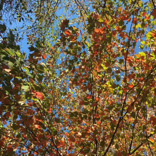 Cities And The Sky By Alexa Rinn