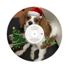 Pee Christmas Album - Nephasma