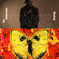 Wake Me Up x Shivers - Avicii x Ed Sheeran (Tim Underscore Mashup)