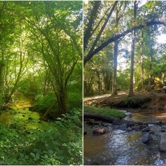 C'est là que je suis né