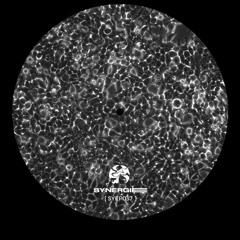 Ben Behrendt - Always Been Here [SYEP037]