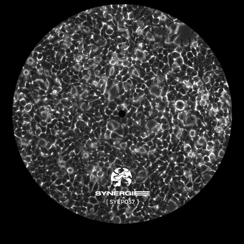 Ben Behrendt - Always Been Here [SYEP037]