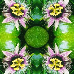 Passionfruit Flow (Live At Hawaiian Sanctuary)