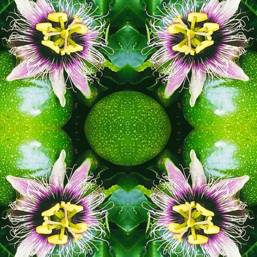 Passionfruit Flow (Live At Hawaiian Sanctuary)