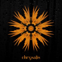 chrysalis