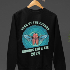 Year Of The Cicada Broods Xiii Xix 2024 Shirt