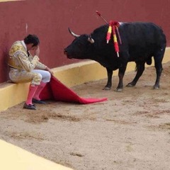 Matador