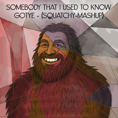 Gotye, St. Mary RAFEL, NGHT VZN - Somebody that I used to know (Squatchy-Mashup)