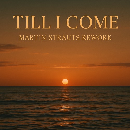 Till I Come Martin Strauts Rework