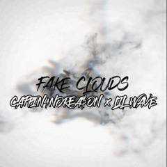 CAPPIN4NOREA$ON x LIL WAVE - FAKE CLOUDS (Official Audio)
