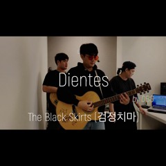 Dientes - The Black Skirts (검정치마) / DBG cover.